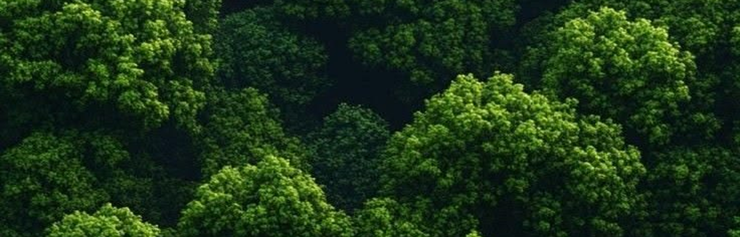 Sustainability